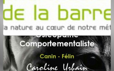 Les parasites externes chez le chien et le chat. Approche en aromathérapie