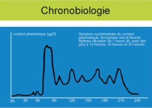 cortisol2